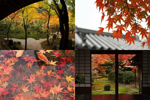 秋の日本庭園や寺、和室などの無料写真素材