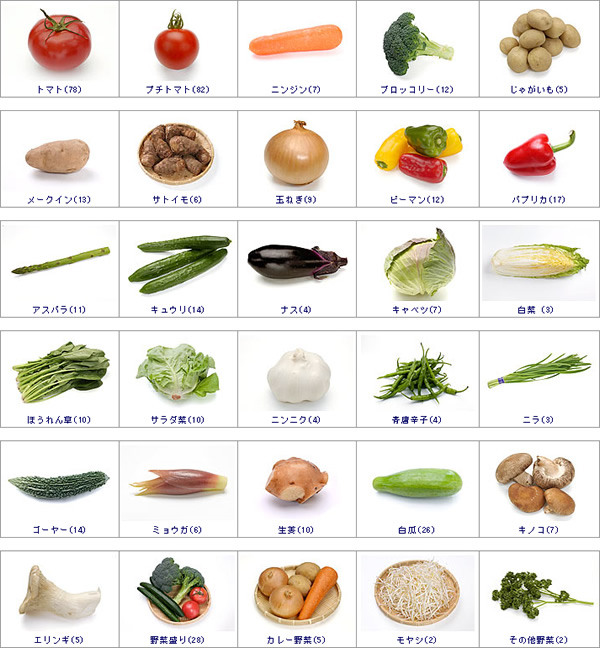 野菜の写真素材