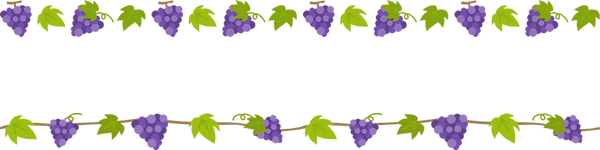 葡萄（ぶどう）のライン飾り罫線イラスト