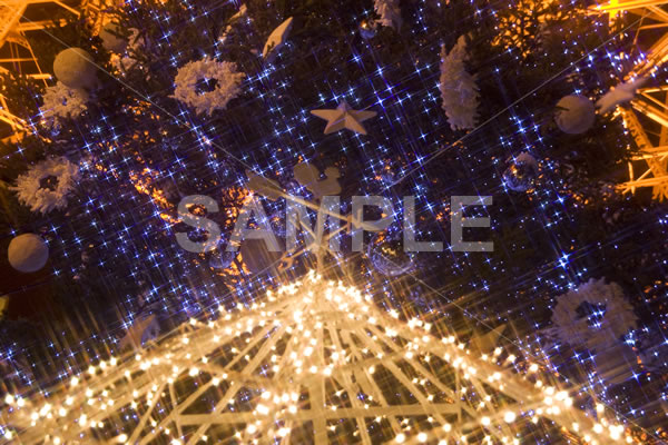 イルミネーションがキラキラと輝くクリスマスツリーを下から見上げた写真