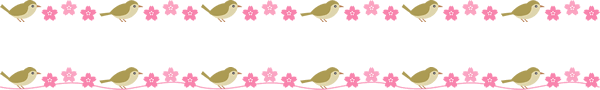 鶯（ウグイス）と桜の花のライン飾り罫線イラスト